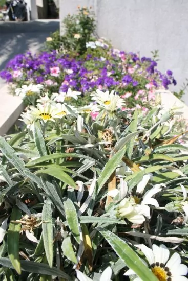 Apartmán Jižní Dalmácie - Slano DA 1103 N5