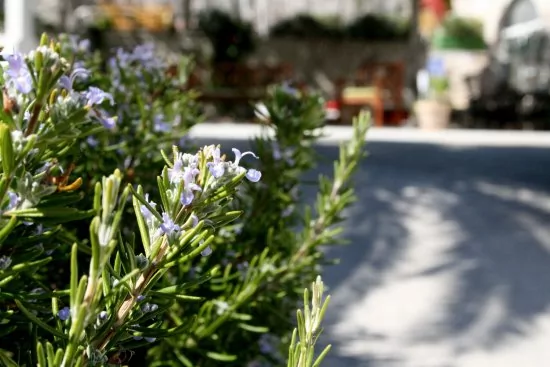 Apartmán Jižní Dalmácie - Slano DA 1103 N5