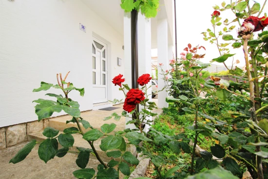 Apartmán Střední Dalmácie - Trogir DA 3212 N1