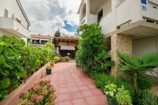 Apartmán Ostrov Krk - Punat OS 8203 N1