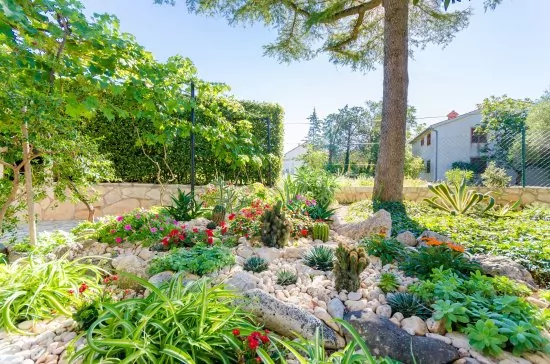 Apartmán Istrie - Medulin IS 1605 N1