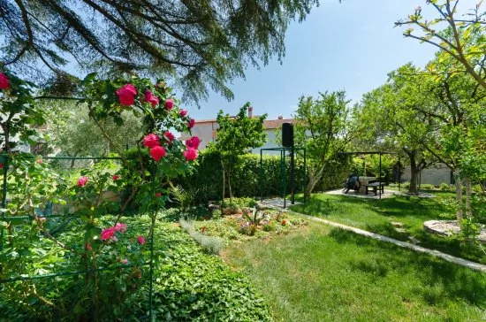 Apartmán Istrie - Medulin IS 1605 N3