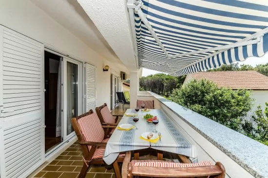 Apartmán Severní Dalmácie - Privlaka DA 5312 N1