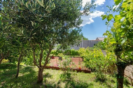 Apartmán Kvarner - Senj KV 1008 N3