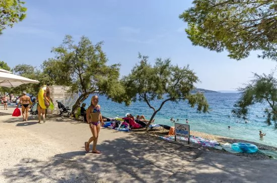 Apartmán Střední Dalmácie - Seget Vranjica DA 3416 N1