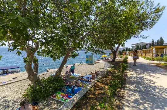 Apartmán Střední Dalmácie - Seget Vranjica DA 3416 N1