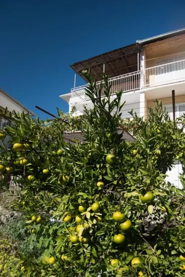 Apartmán Severní Dalmácie - Rogoznica DA 3660 N1