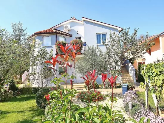 Apartmán Istrie - Fažana IS 2203 N1