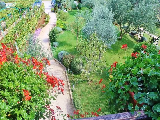 Apartmán Istrie - Fažana IS 2203 N1