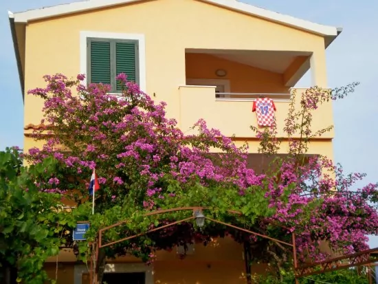 Apartmán Severní Dalmácie - Ražanj DA 3532 N2