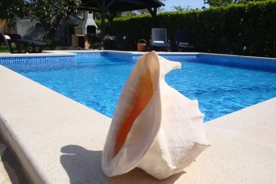 Apartmán Istrie - Valbandon IS 2102 N1