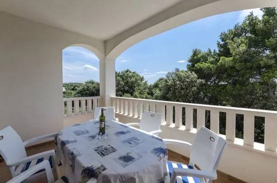 Apartmán Severní Dalmácie - Brodarica DA 3907 N1