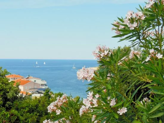 Apartmán Severní Dalmácie - Ražanj DA 3534 N1