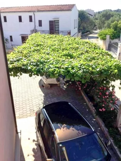 Apartmán Severní Dalmácie - Rogoznica DA 3535 N1