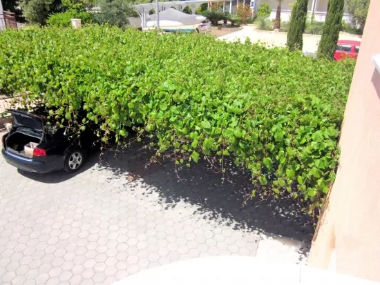 Apartmán Severní Dalmácie - Rogoznica DA 3535 N4