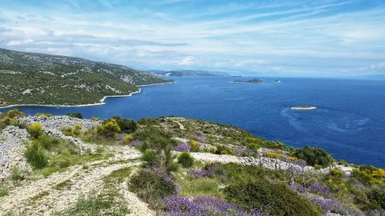 Apartmán Střední Dalmácie - Vinišće DA 3425 N1