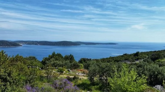 Apartmán Střední Dalmácie - Vinišće DA 3425 N2