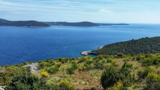 Apartmán Střední Dalmácie - Vinišće DA 3425 N2