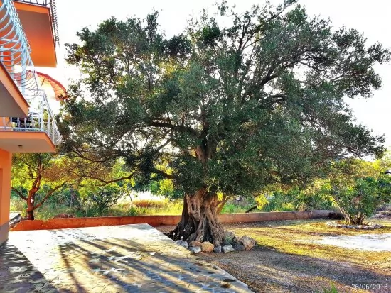 Apartmán Střední Dalmácie - Vinišće DA 3425 N2