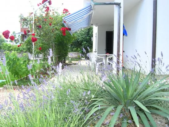 Apartmán Ostrov Krk - Krk OS 8408 N3