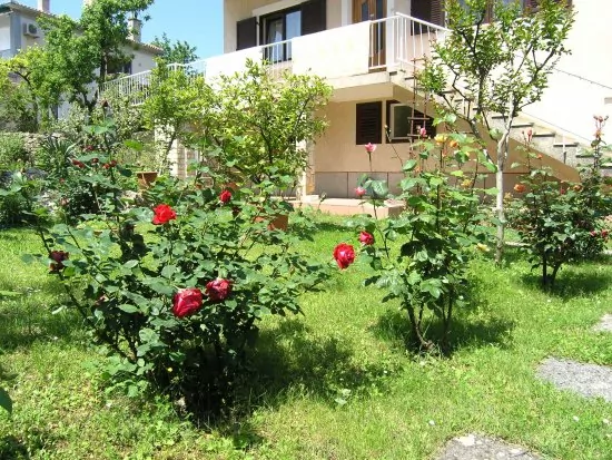 Apartmán Ostrov Krk - Krk OS 8409 N2