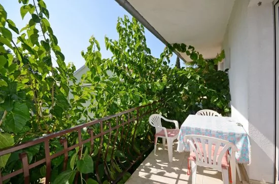 Apartmán Istrie - Rovinj IS 3005 N2