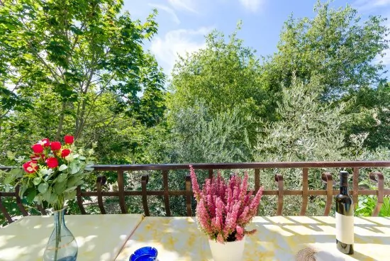 Apartmán Istrie - Rovinj IS 3005 N7