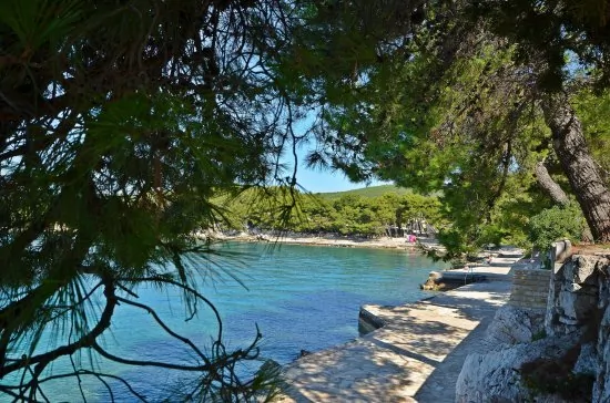 Apartmán Severní Dalmácie - Tribunj (Vodice) DA 4127 N1