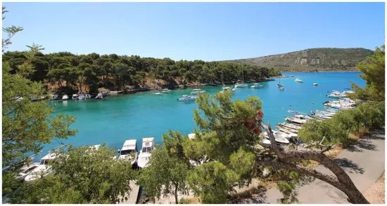 Apartmán Severní Dalmácie - Primošten DA 3630 N2