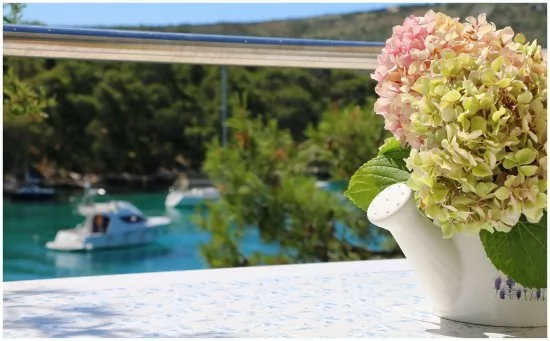 Apartmán Severní Dalmácie - Primošten DA 3630 N3