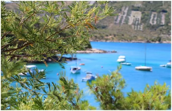 Apartmán Severní Dalmácie - Primošten DA 3630 N3