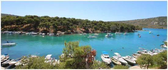 Apartmán Severní Dalmácie - Primošten DA 3630 N3