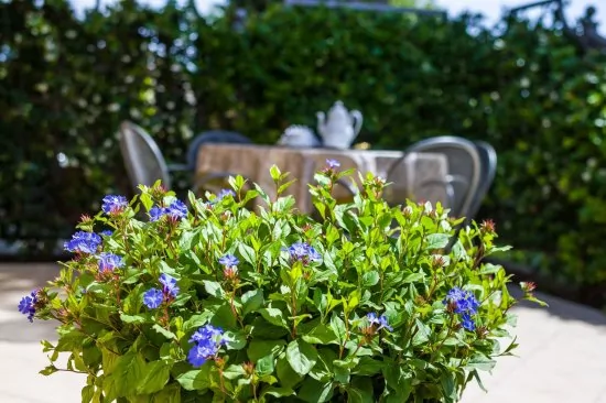 Apartmán Severní Dalmácie - Zadar DA 5008 N2