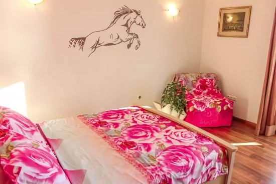 Apartmán Střední Dalmácie - Staniči DA 2605 N1