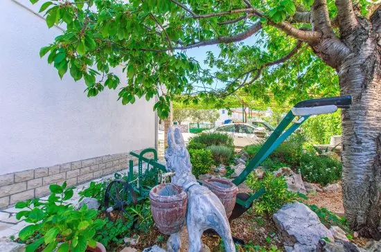 Apartmán Severní Dalmácie - Brodarica DA 3909 N2