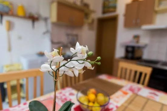 Apartmán Severní Dalmácie - Grebaštica DA 3709 N2