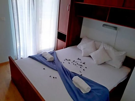 Apartmán Severní Dalmácie - Privlaka DA 5306 N1