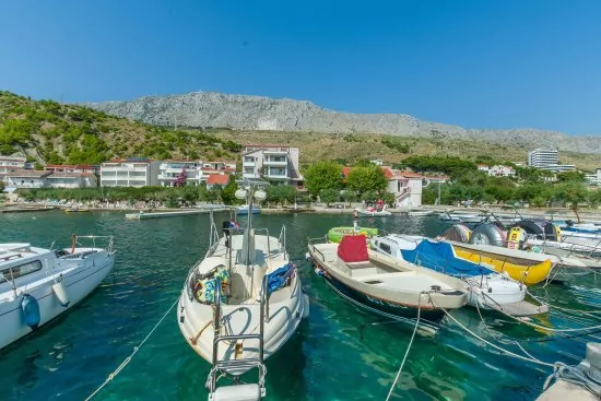 Pobřeží a marina před objektem.