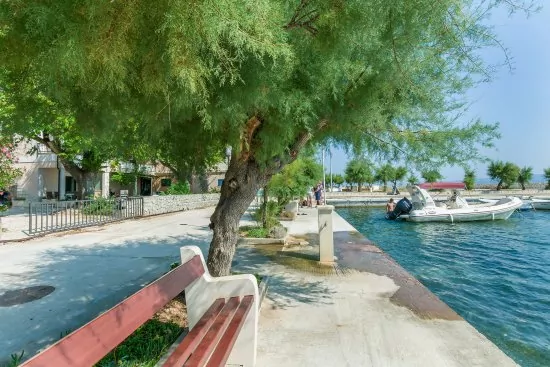 Pobřeží a marina před objektem.