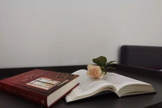 Apartmán Střední Dalmácie - Pisak DA 2310 N1