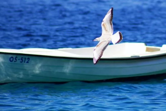 Apartmán Střední Dalmácie - Pisak DA 2310 N2