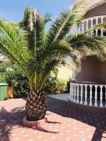 Apartmán Ostrov Vir - Vir OS 5502 N1