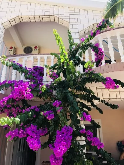 Apartmán Ostrov Vir - Vir OS 5502 N3