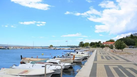 Seline - marina.