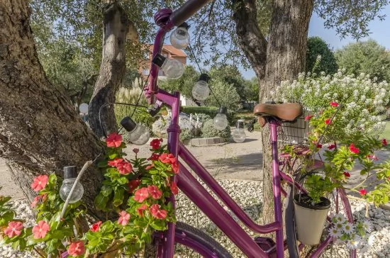 Apartmán Severní Dalmácie - Vodice DA 4133 N2