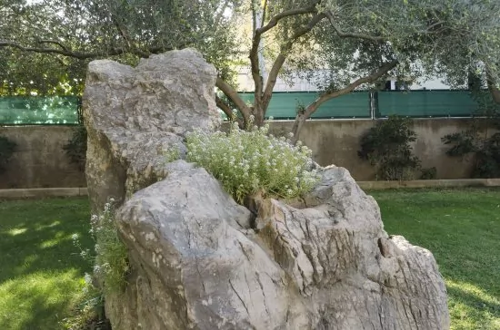 Apartmán Severní Dalmácie - Vodice DA 4133 N2