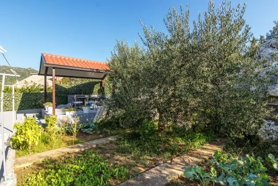 Apartmán Jižní Dalmácie - Ploče DA 1351 N1