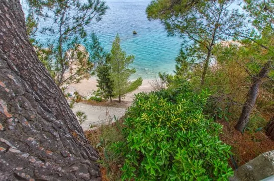 Apartmán Střední Dalmácie - Brela DA 2206 N2