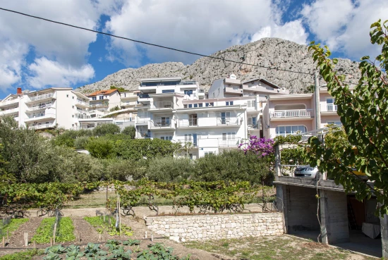 Apartmán Střední Dalmácie - Omiš DA 2733 N3