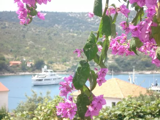 Apartmán Střední Dalmácie - Vinišće DA 3429 N1